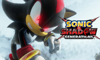 Sonic x Shadow