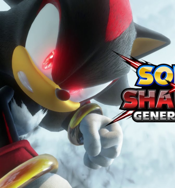 Sonic x Shadow