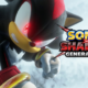 Sonic x Shadow