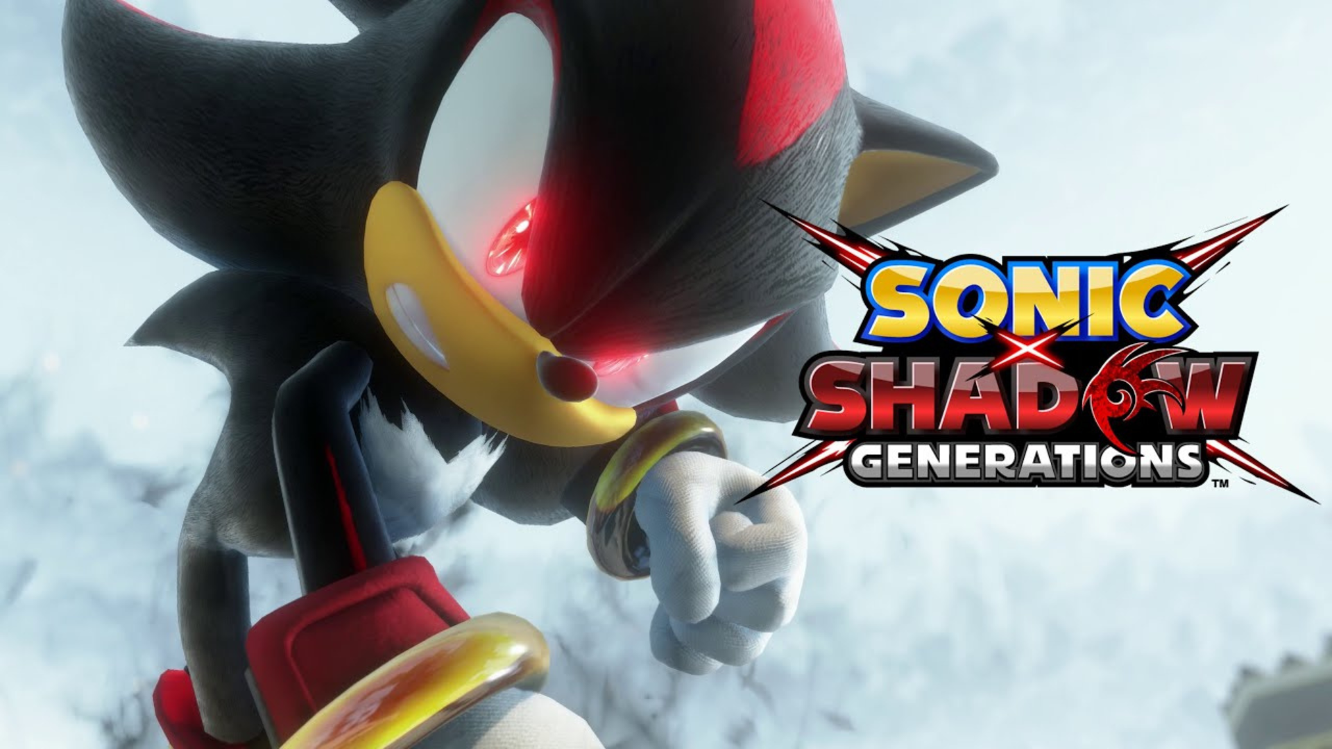 Sonic x Shadow