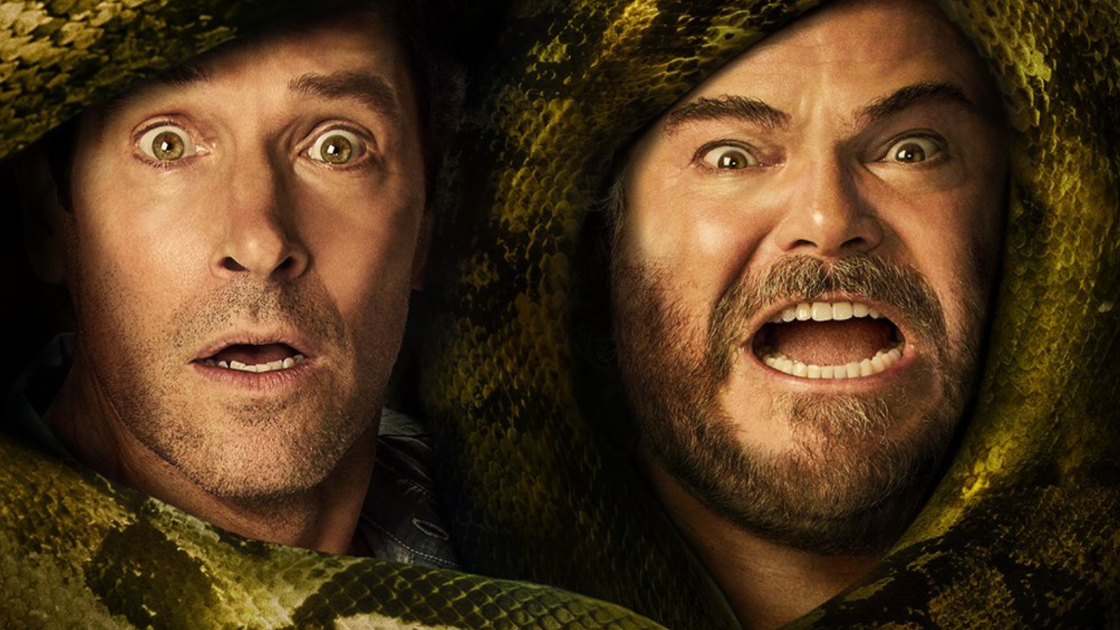 Anaconda