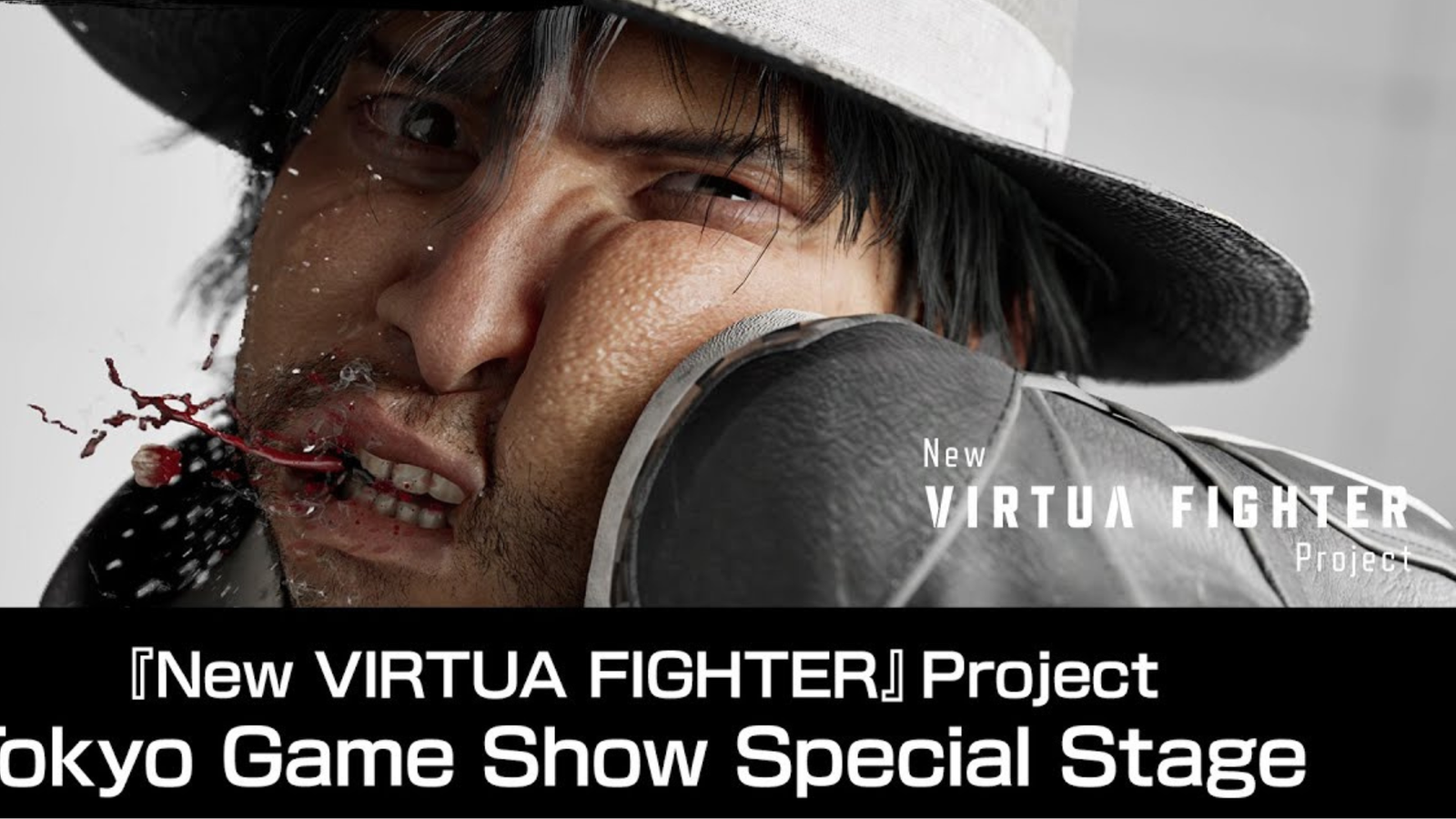 Virtua Fighter
