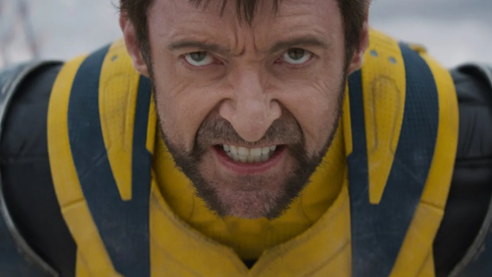 Wolverine