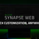 Synapse Web