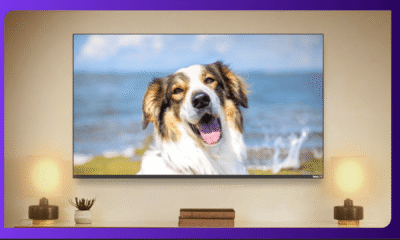 Rocku Backdrops foto