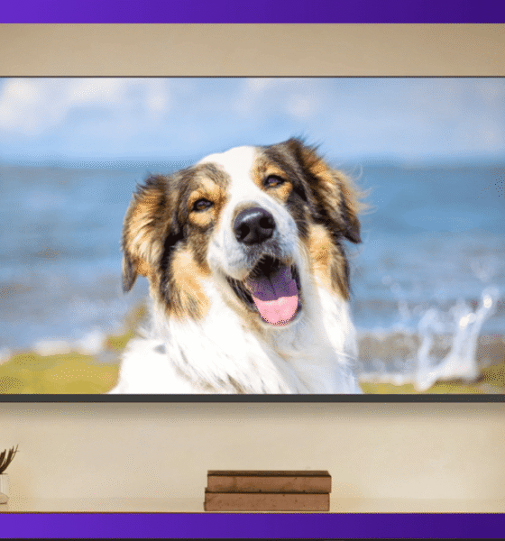 Rocku Backdrops foto