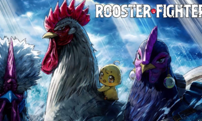 Rooster Figther