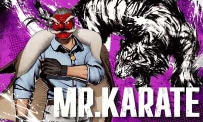 Mr. Karate