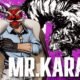 Mr. Karate