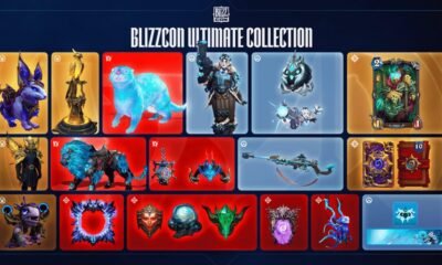 Blizzcon