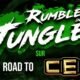 Rumble in the Jungle