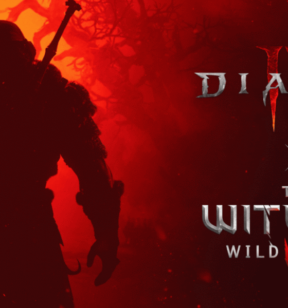 The Witcher